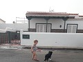 Tenerife - Abades - Op wandel met de hond van de b