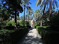 Sevilla - Alcazar