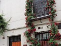 Cordoba - Fiesta de los patios
