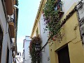 Cordoba - Smalle straatjes met bloemen
