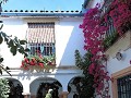 Cordoba - Patio
