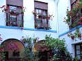 Cordoba - Fiesta de los Patios