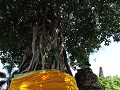 Ayutthaya - Wat Na Pra Men