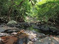 Khao Yai nationaal park - Prachtige natuur