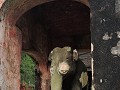 Hue - Tempel ter ere van de olifant