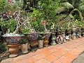 Mekong Delta - Boottour - Antieke potten 