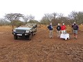 Manyoni private game reserve - Game drive