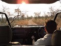 Krugerpark - Safari