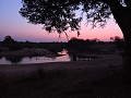 Krugerpark - Safari