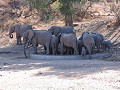 Krugerpark - Safari - zicht vanuit de lodge