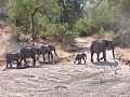 Krugerpark - Safari - zicht vanuit de lodge