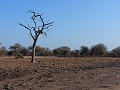 Krugerpark - Safari
