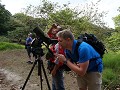 Birdwatching, Curi Cancha reserva Monteverde