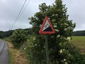 De gevreesde Kemmelberg aan de achterzijde