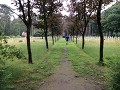 In de bossen van Wortel- Merksplas ligt het kerkho