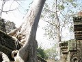 Ta Phrom