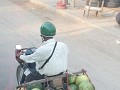 IMG 0826