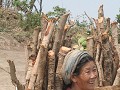 IMG 1243