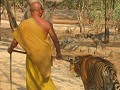 Tiger temple, wandelingetje maken
