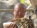 Tiger temple, de flesvoeding niet te vergeten