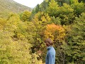 Autumn colors everywhere!