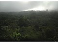 Tikal : tempels doemen op uit mist 