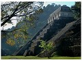 Palenque : tempels