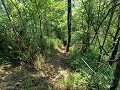 Zeer steil wandelpad