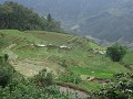 de rijstvelden in terrasvorm in de bergen rond Sap
