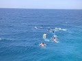 op zoek naar de manta rays