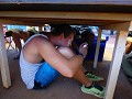 verstoppertje spelen.. Pascal vs de vliegen