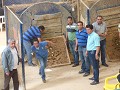 ´tejo´, HET spel in Colombia