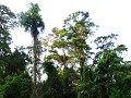 costa-rica-1608542630