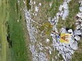Kristel (279)