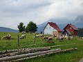 Kristel (458)