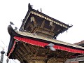 nepal (21)