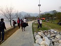 nepal (151)