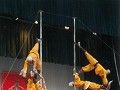 Shanghai - Chinees circus