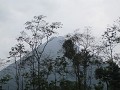 La Fortuna - Arenal vulkaan