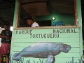 Tortuguero 