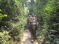 Een dagje olifant rijden door de jungle