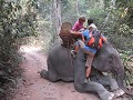 Onze lieve olifant is zo vriendelijk een voetje te