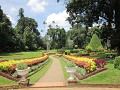 Kandy - Peradeniya Botanical Garden