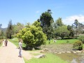 Nuwara Eliya - Victoria Park