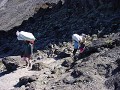 Kilimanjaro (Umbwe route)