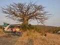 Kamperen onder de baobab