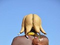 DSC 3265