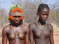 DSC 3731