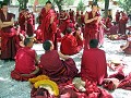 De luide, hevige debatten in Sera-klooster staan i