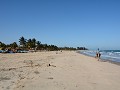 palmbomenstrand in Afrika